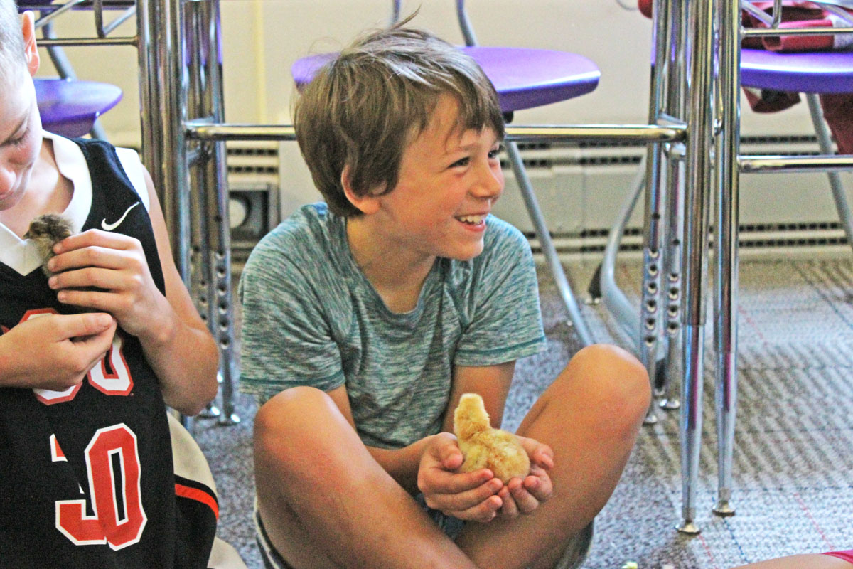 Heron Creek student smiles with joy while holding a baby chick